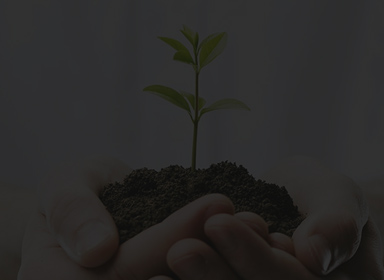 必发·bifa(中国集团)唯一官方网站