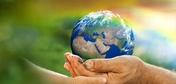 必发·bifa(中国集团)唯一官方网站